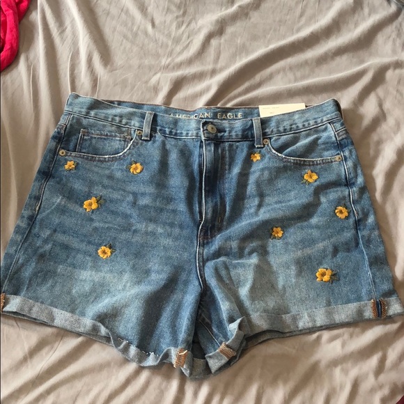 American Eagle Outfitters Pants - Floral embroidered shorts